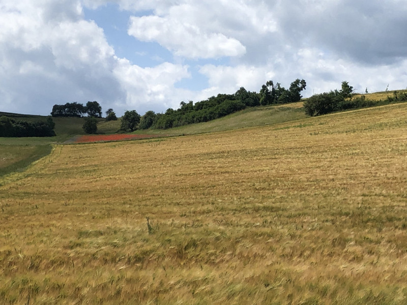Sommer   zw Wetter und Frankenberg