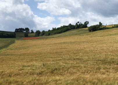 Sommer   zw Wetter und Frankenberg